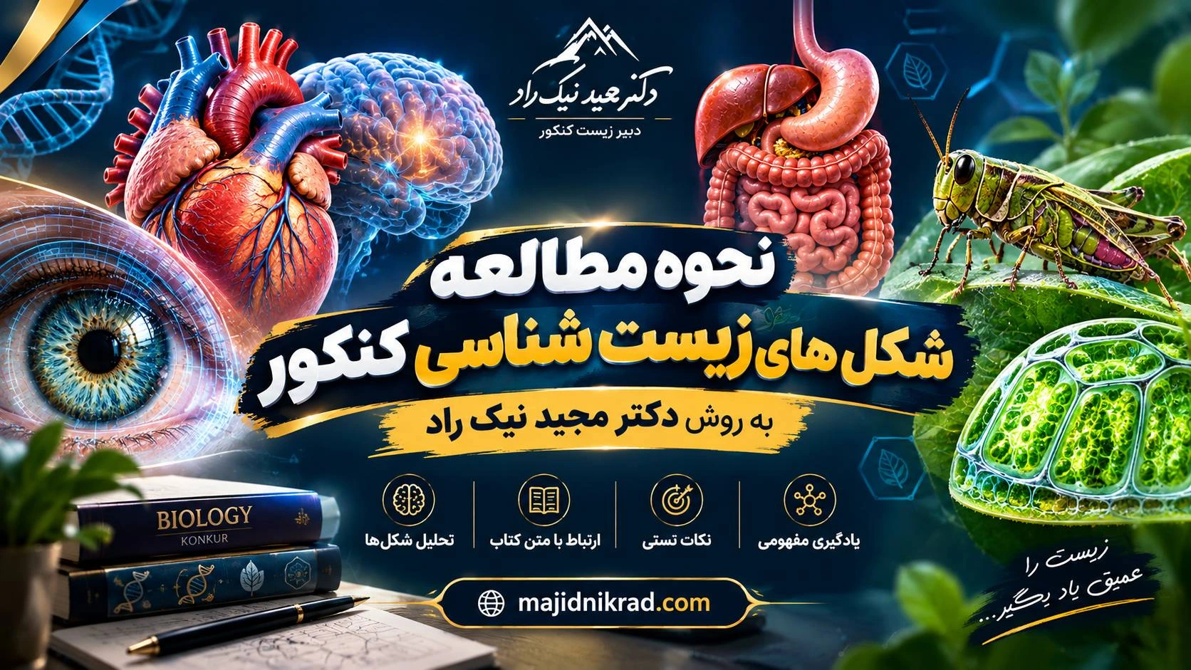 نحوه مطالعه زیست کنکور: کلید طلایی موفقیت در کنکور تجربی